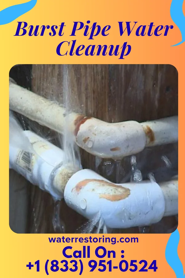 Burst Pipe Water Cleanup in Collinsburg, PA
