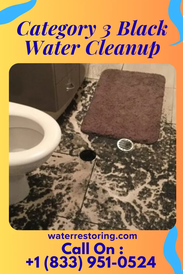 Category 3 Black Water Cleanup in Collinsburg, PA