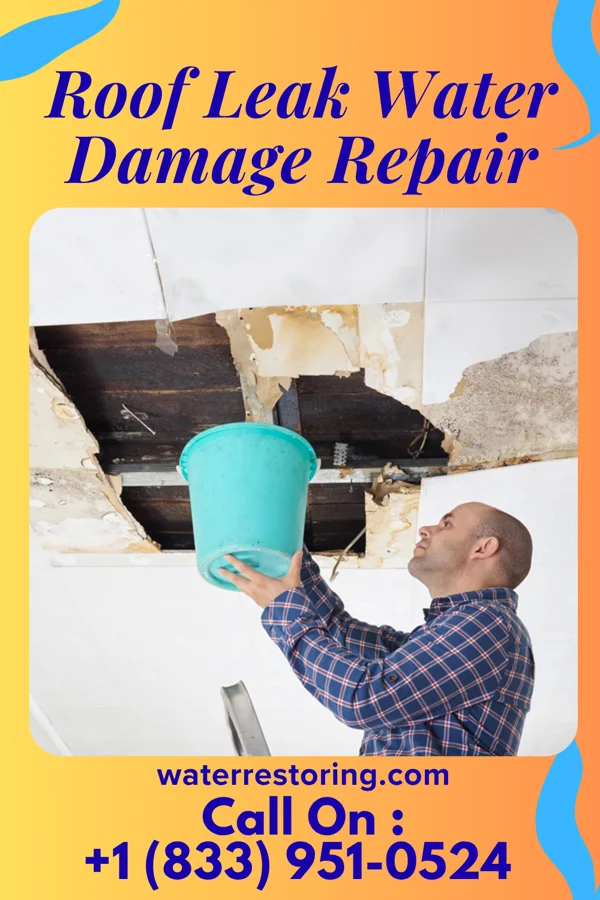Roof Leak Water Damage Repair in Collinsburg, PA