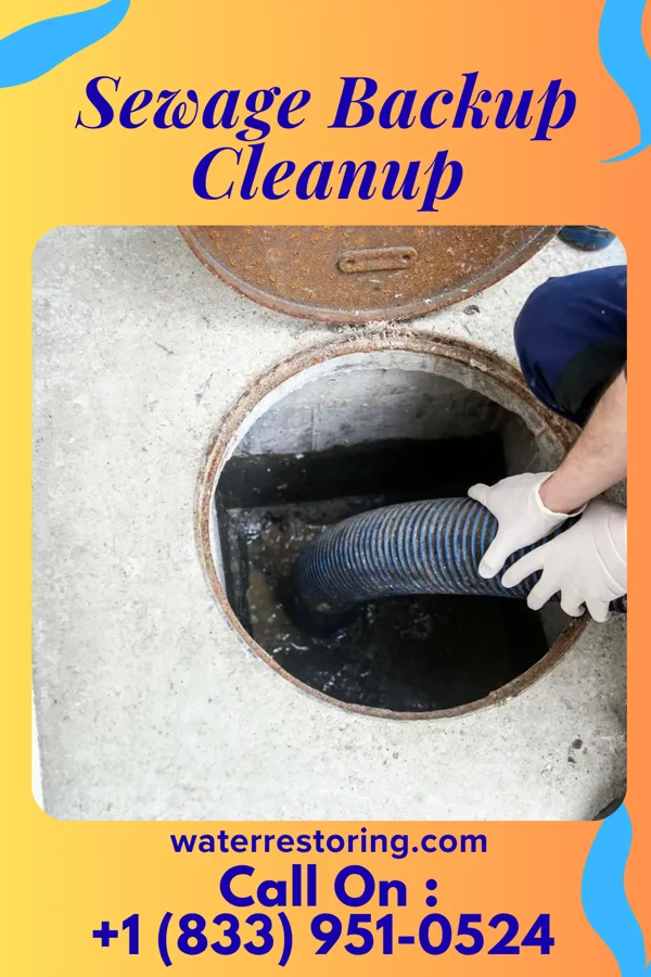 Sewage Backup Cleanup in Collinsburg, PA